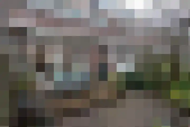 Havenstraat 19 Papendrecht thumbnail 36