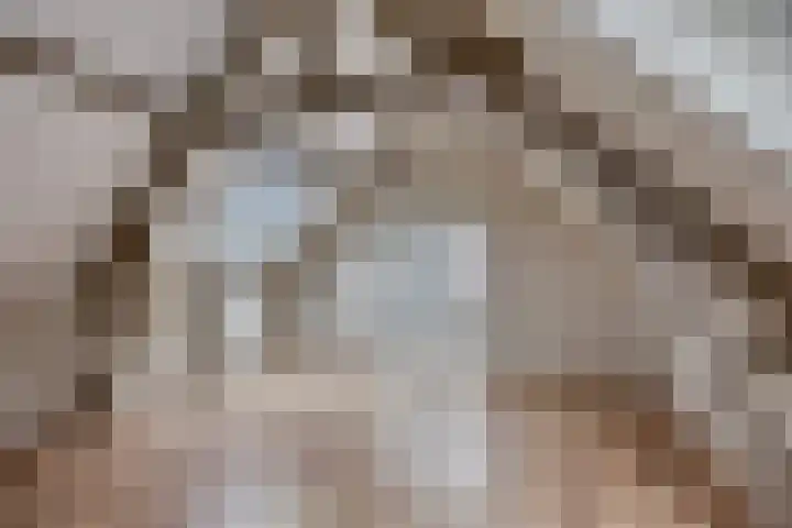Havenstraat 19 Woerden thumbnail 4