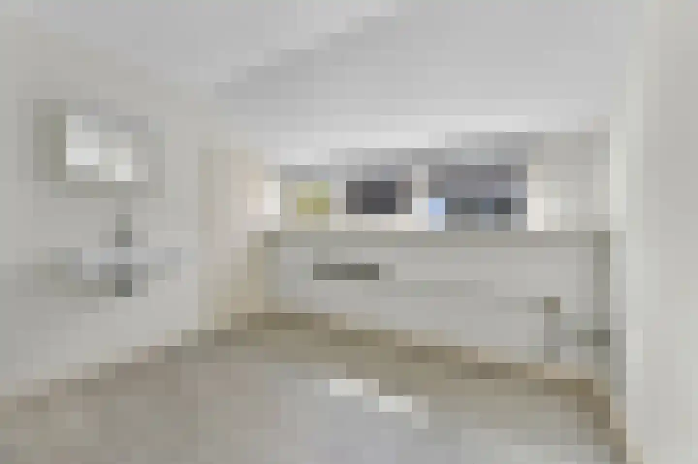 Havenstraat 2 Alphen aan den Rijn thumbnail 22