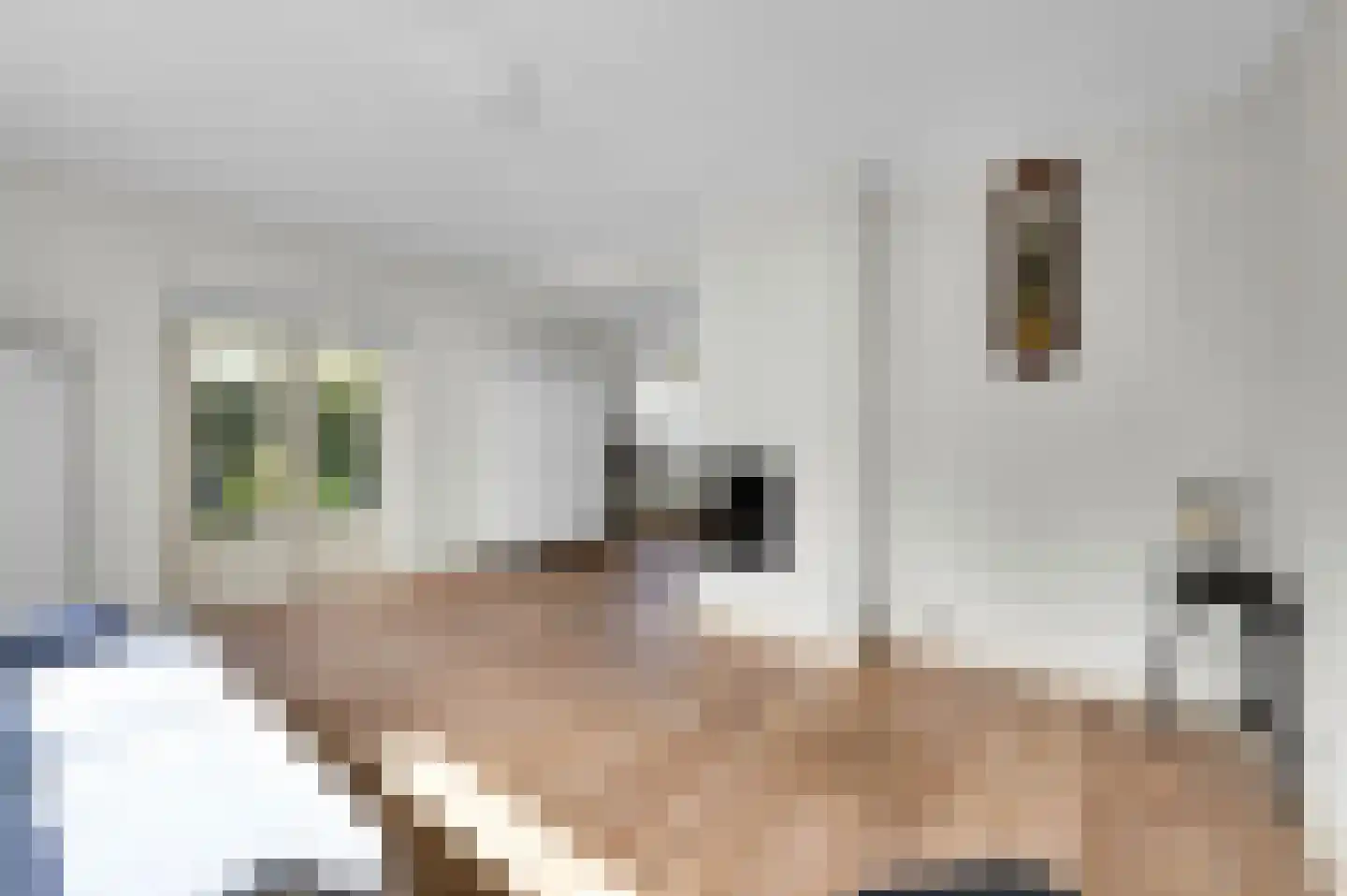 Havenstraat 2 Alphen aan den Rijn thumbnail 4