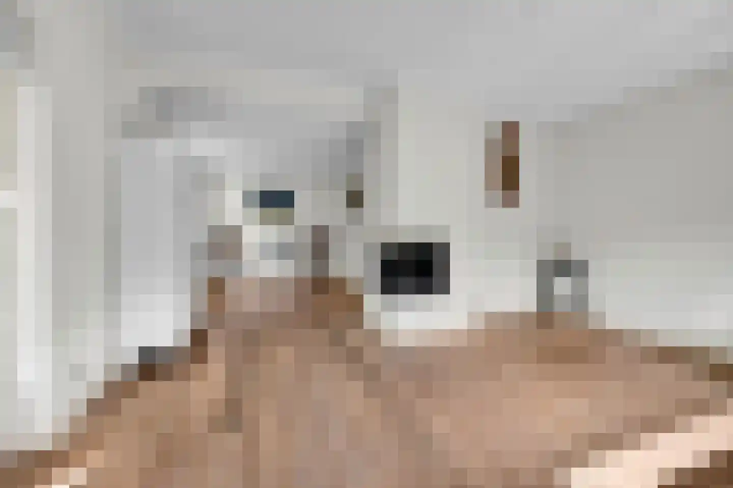 Havenstraat 2 Alphen aan den Rijn thumbnail 5