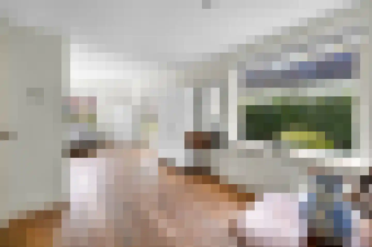 Havenstraat 2 Alphen aan den Rijn thumbnail 7