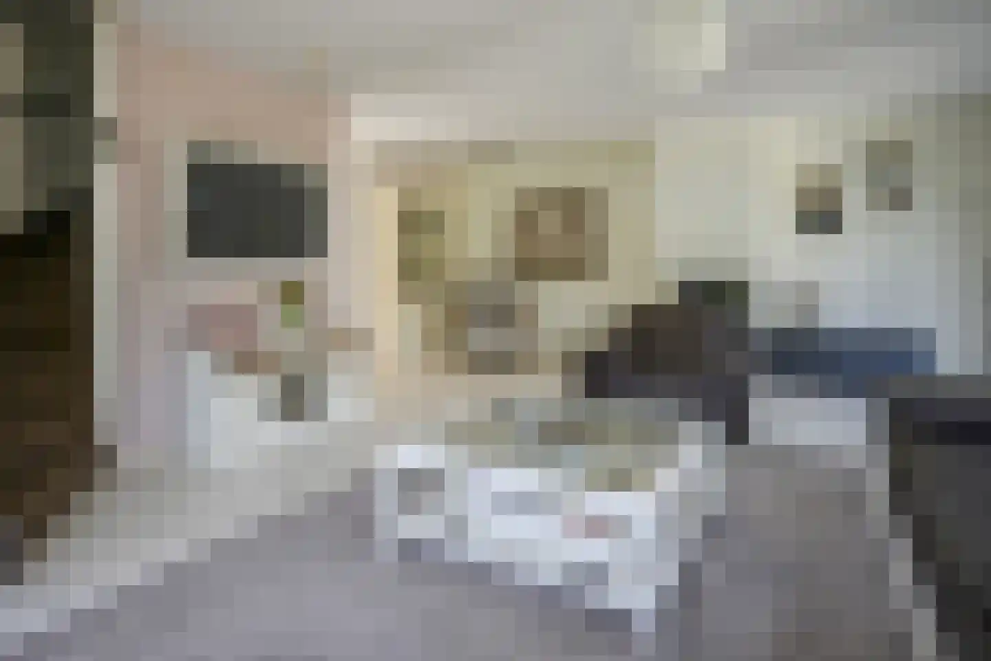 Havenstraat 2 Berkel en Rodenrijs thumbnail 23