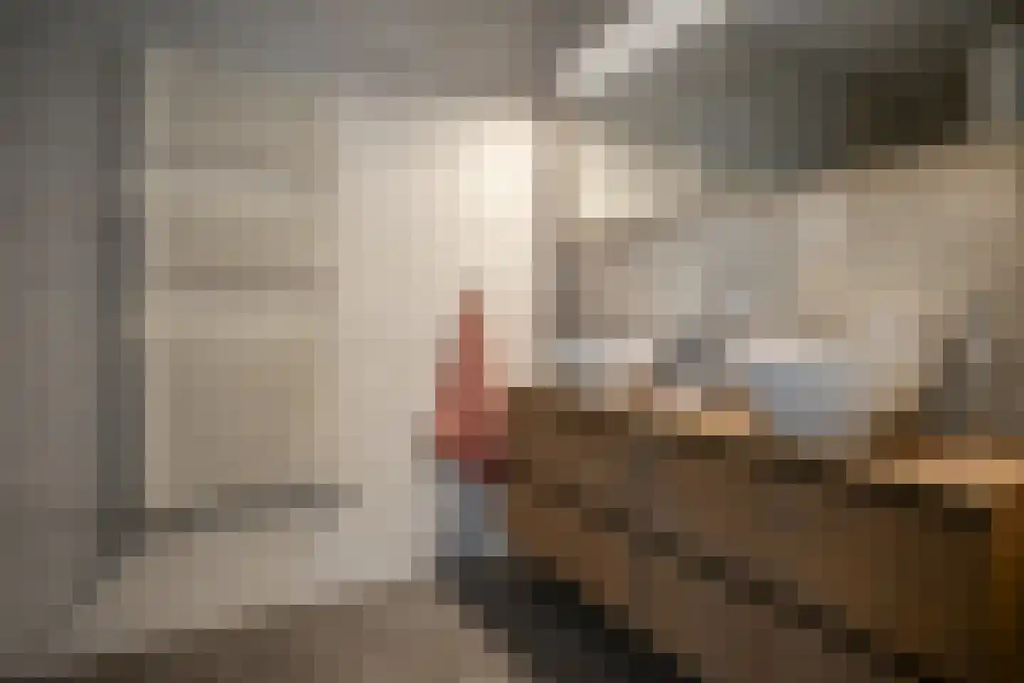 Havenstraat 2 Berkel en Rodenrijs thumbnail 33