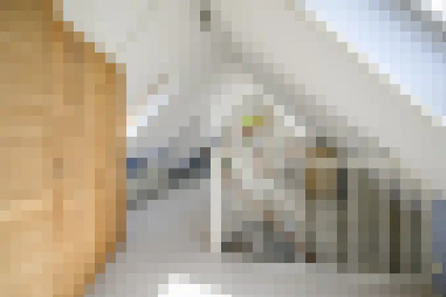 Havenstraat 2 Berkel en Rodenrijs thumbnail 46