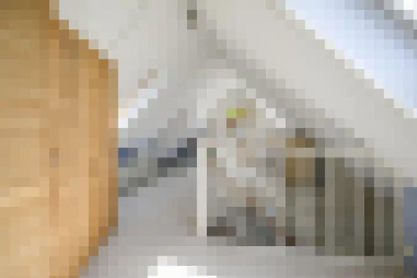 Havenstraat 2 Berkel en Rodenrijs thumbnail 46