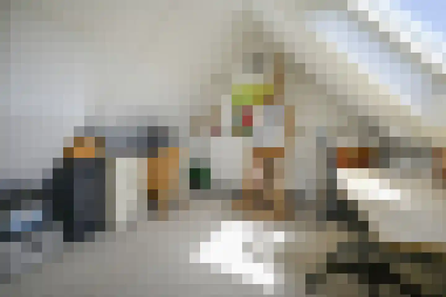 Havenstraat 2 Berkel en Rodenrijs thumbnail 47