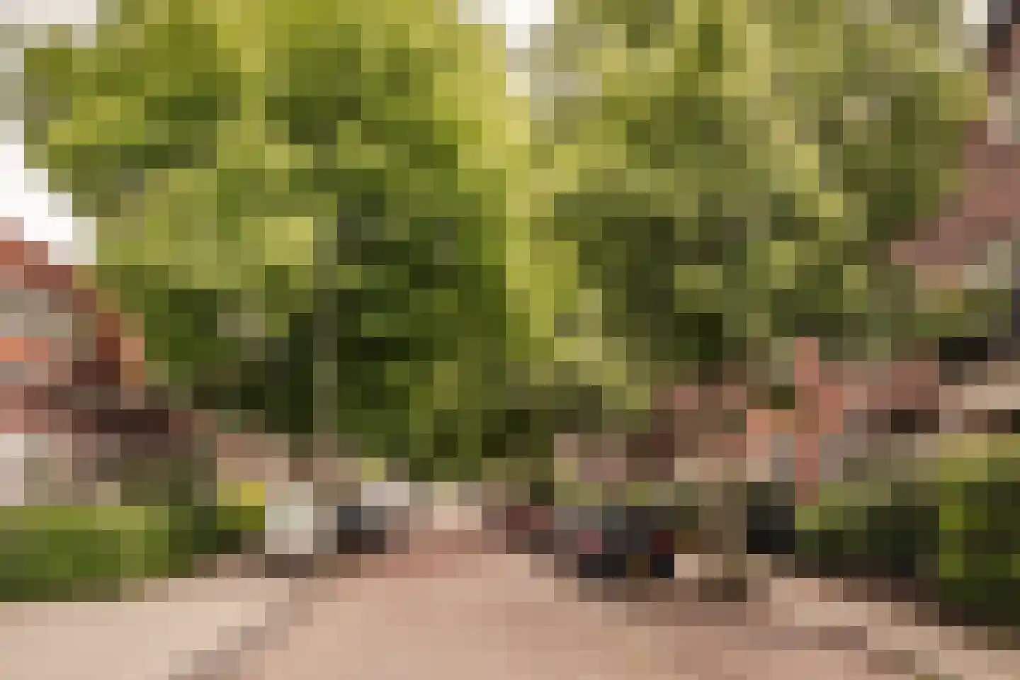 Havenstraat 2 Heemstede thumbnail 61