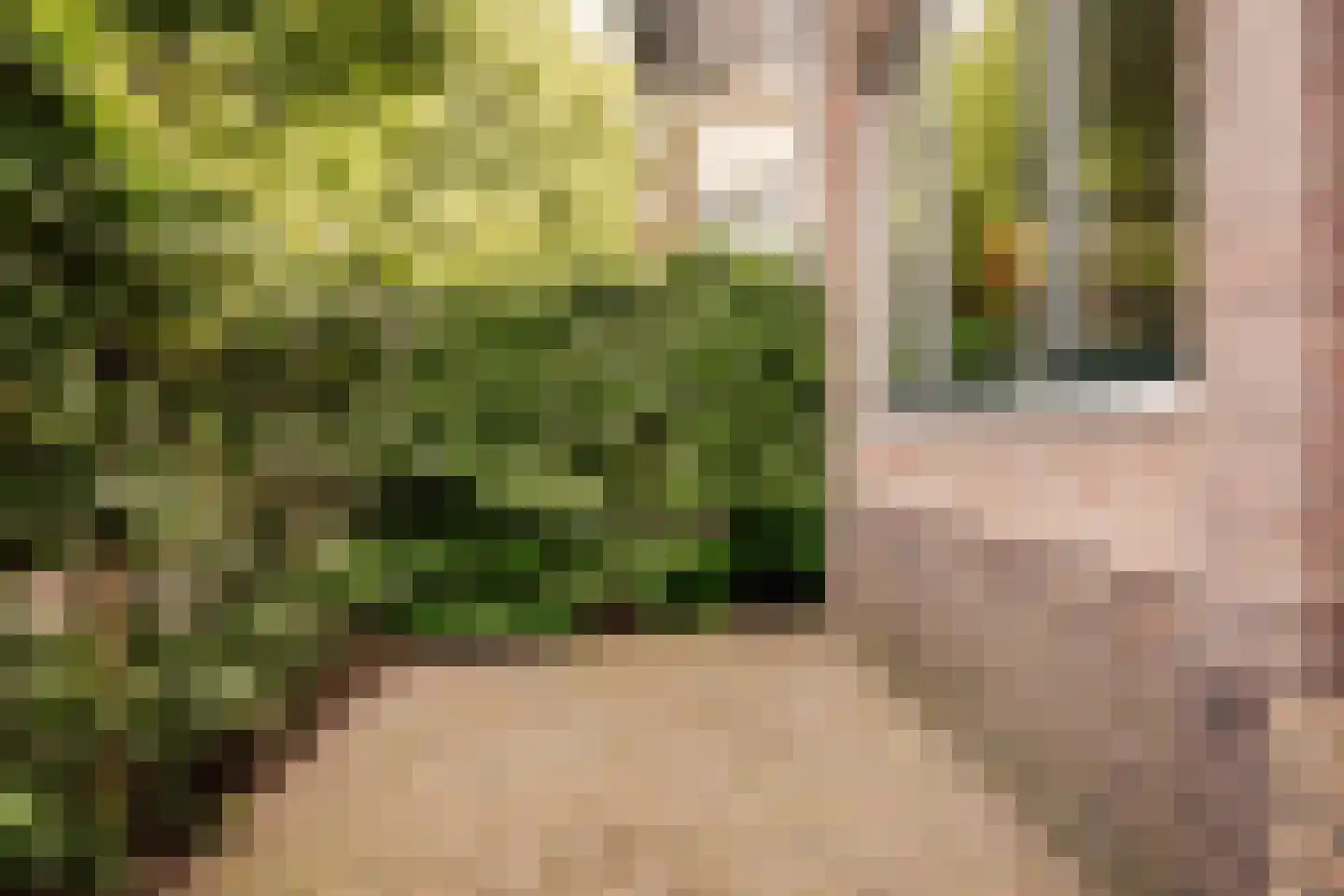 Havenstraat 2 Heemstede thumbnail 7