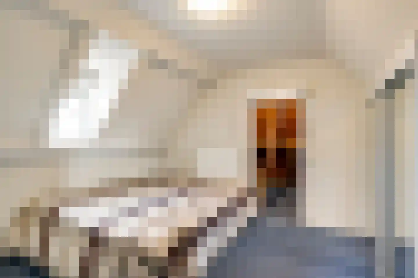 Havenstraat 2 Maasbracht thumbnail 32