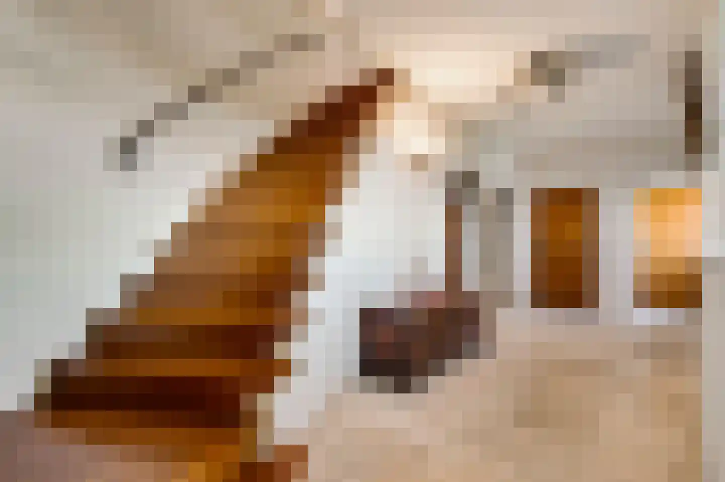 Havenstraat 2 Maasbracht thumbnail 6