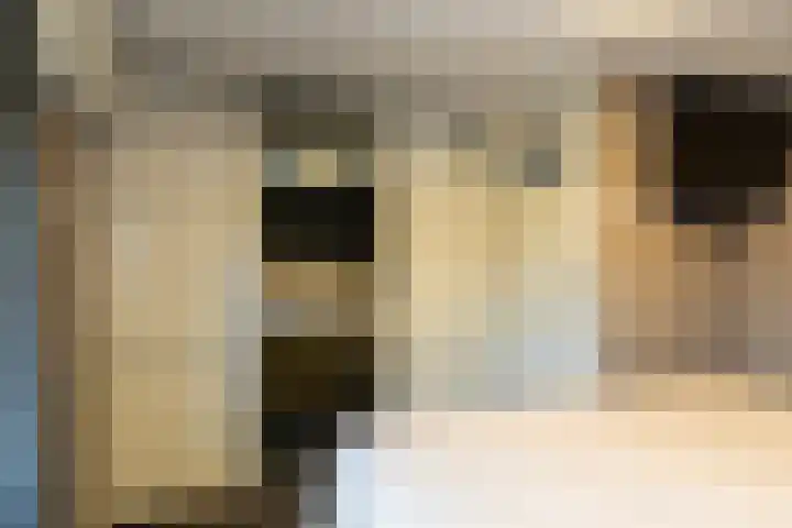 Havenstraat 2 Werkendam thumbnail 18