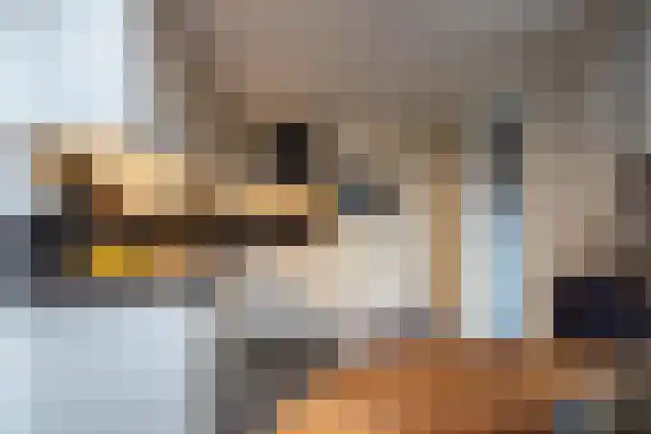 Havenstraat 2 Werkendam thumbnail 7
