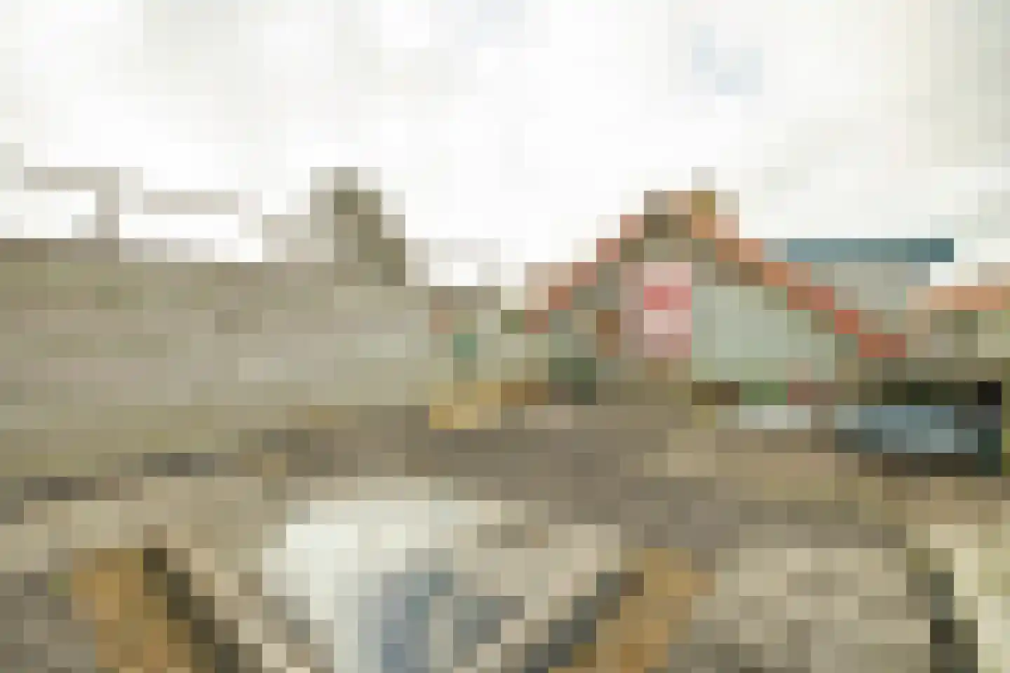 Havenstraat 20 Colijnsplaat thumbnail 21