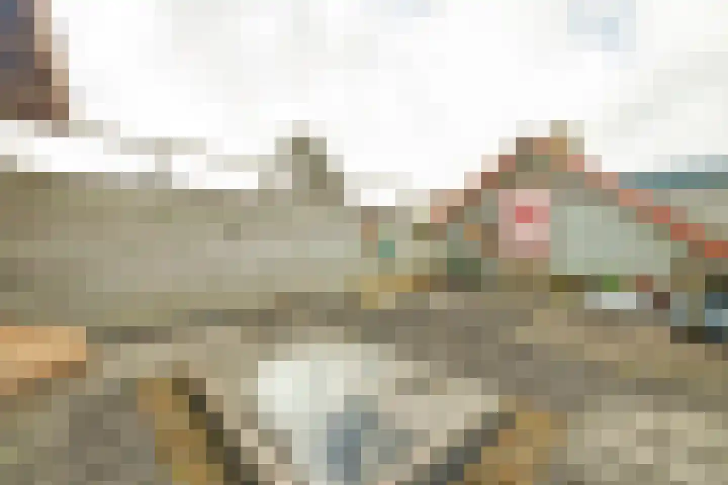 Havenstraat 20 Colijnsplaat thumbnail 4