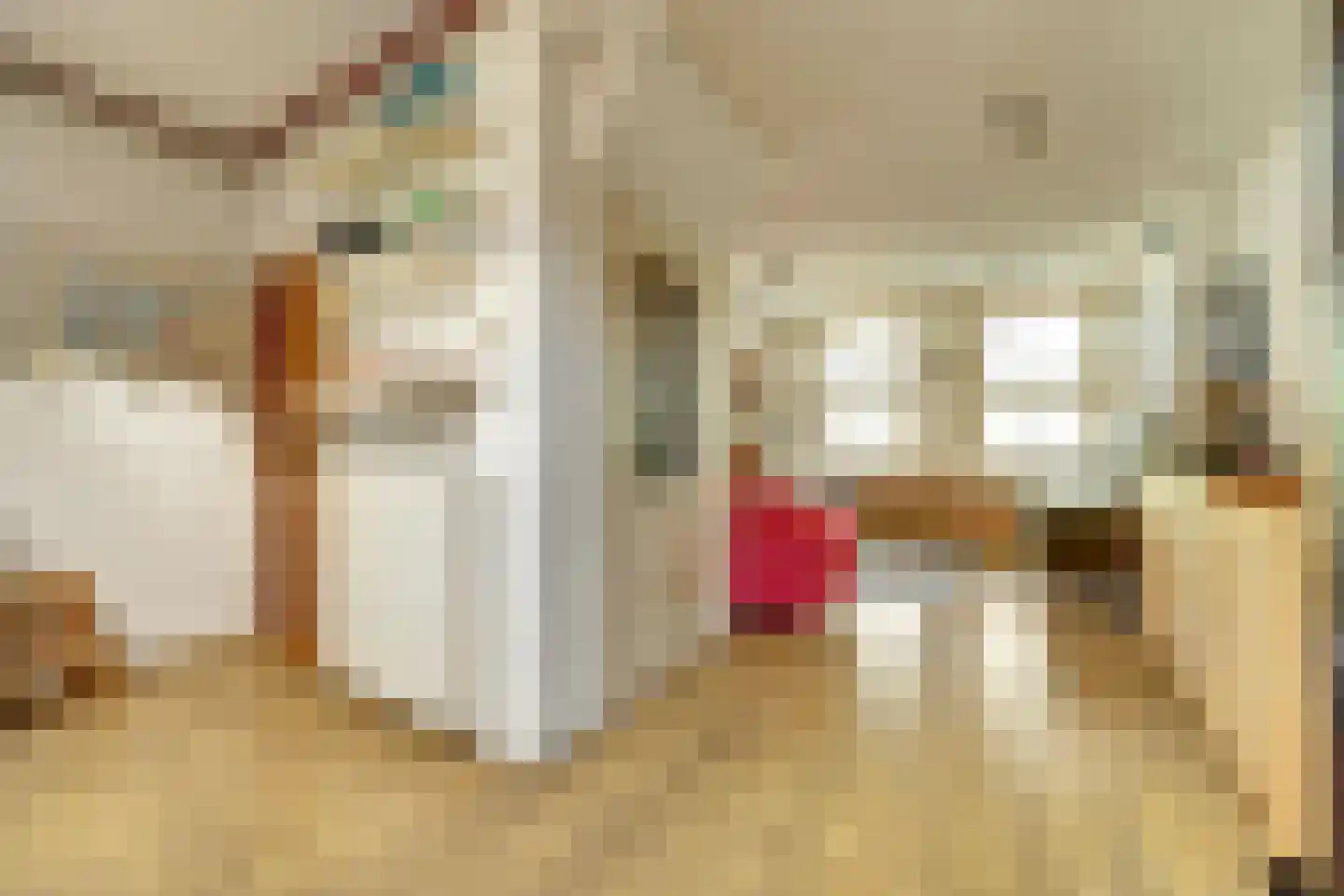 Havenstraat 20 Colijnsplaat thumbnail 7