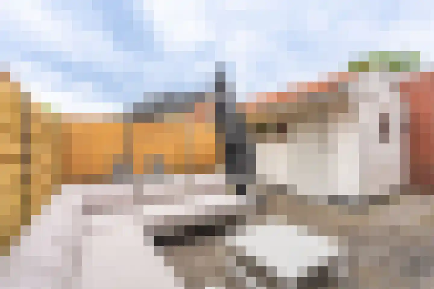 Havenstraat 20 Scheemda thumbnail 31