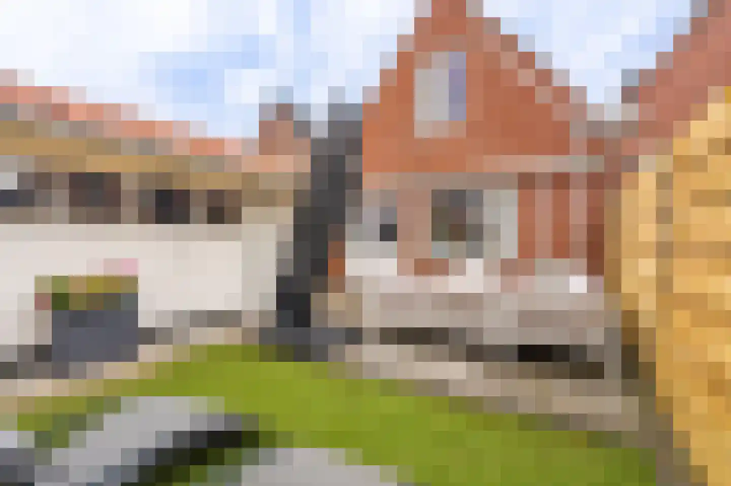 Havenstraat 20 Scheemda thumbnail 32