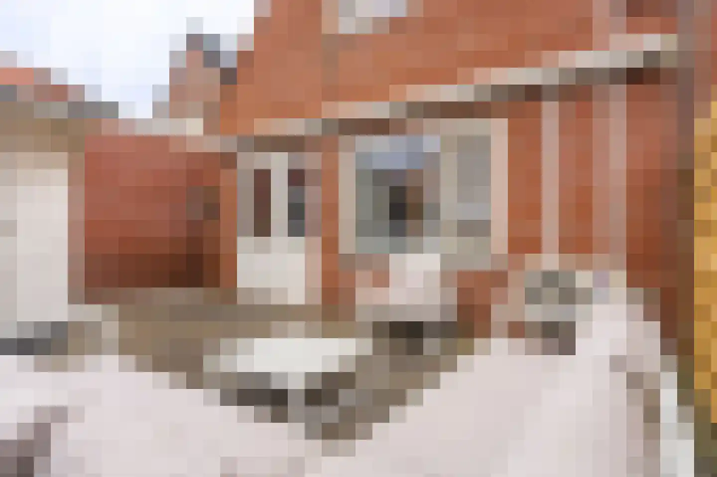 Havenstraat 20 Scheemda thumbnail 34