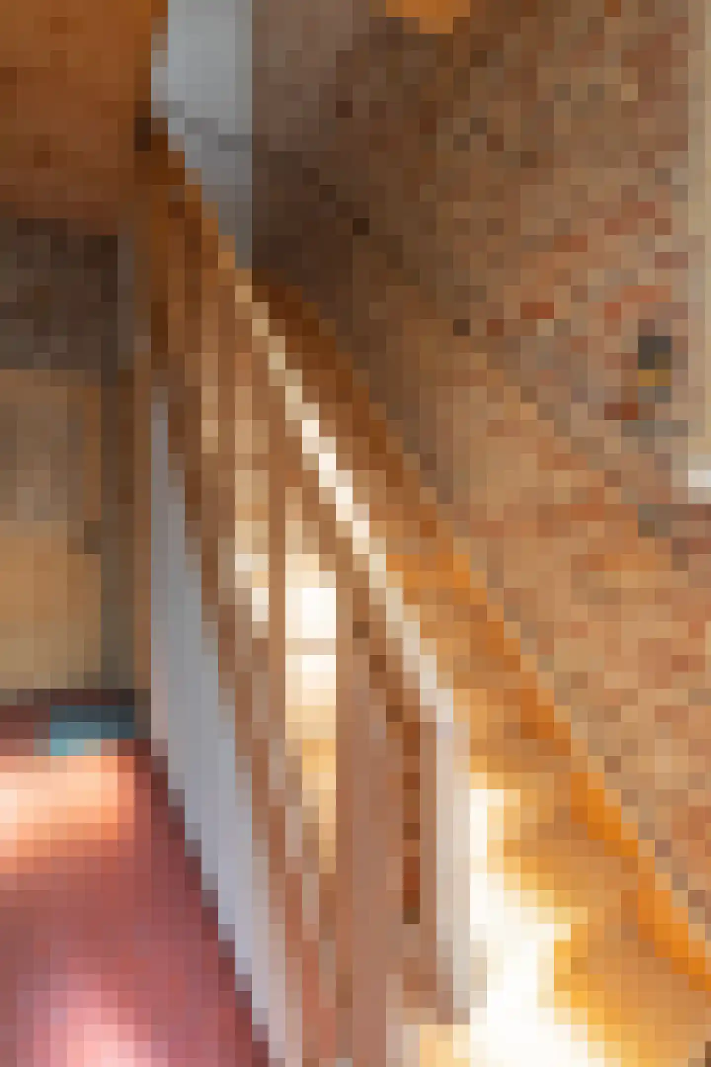 Havenstraat 20 Stein thumbnail 13