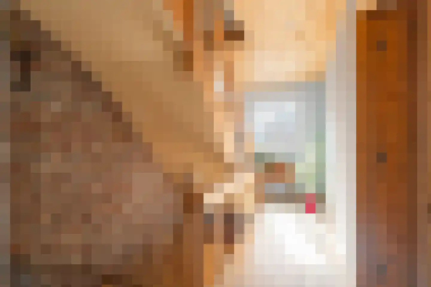 Havenstraat 20 Stein thumbnail 20