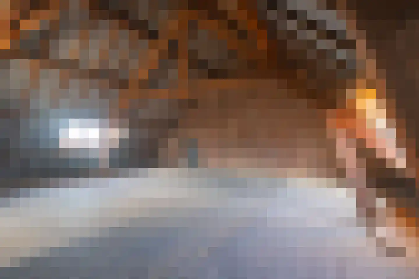 Havenstraat 20 Stein thumbnail 22