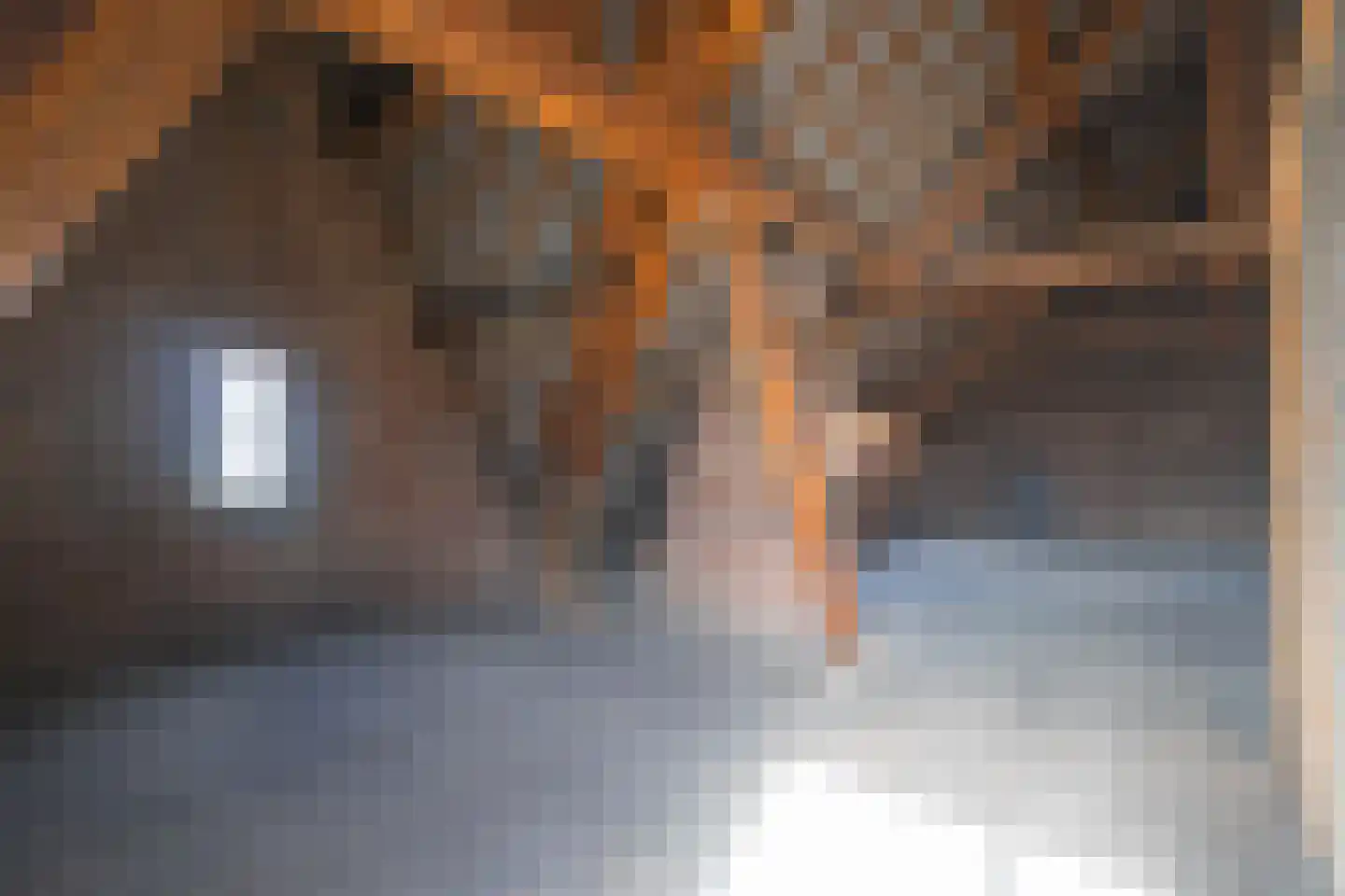 Havenstraat 20 Stein thumbnail 23