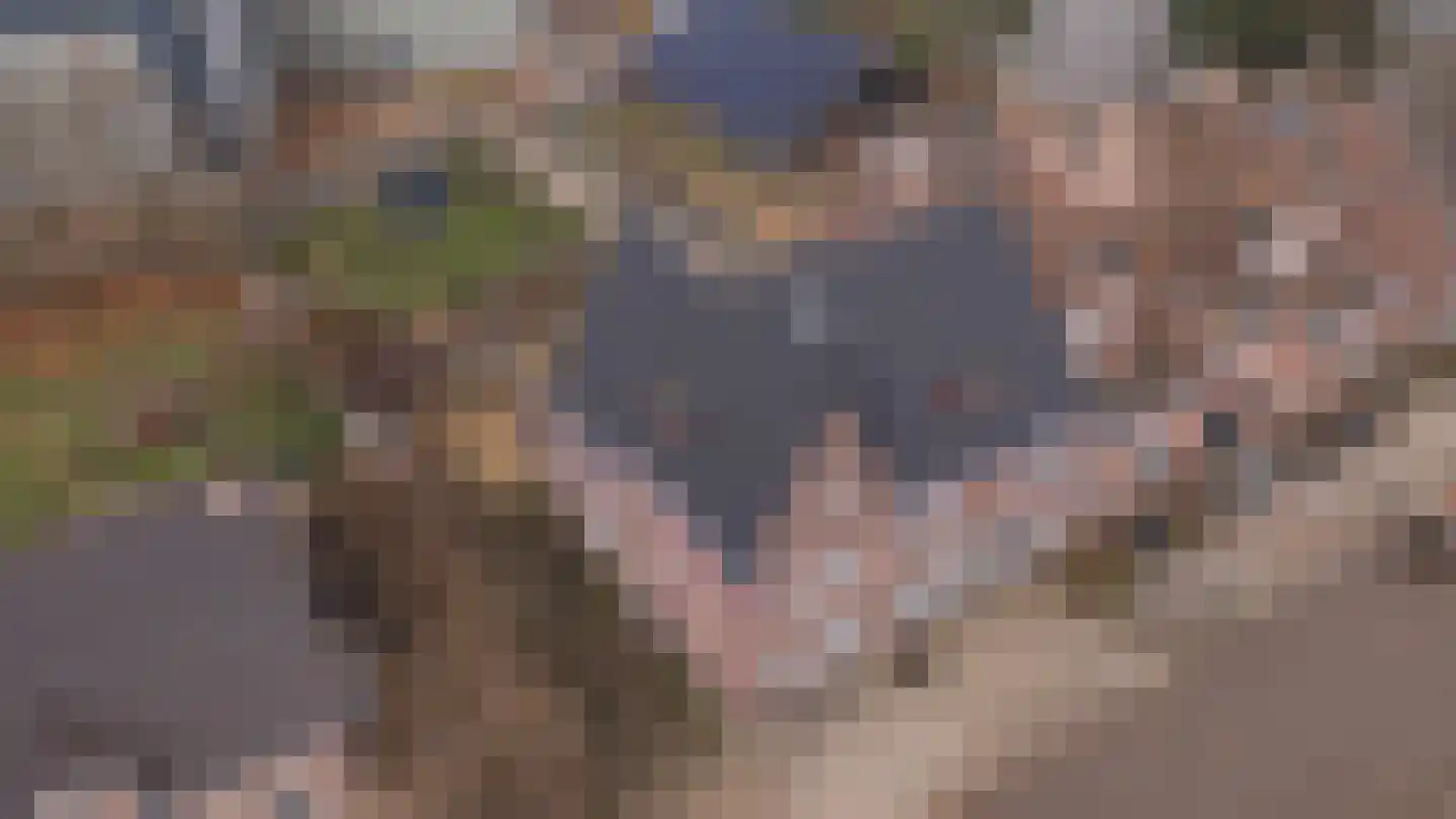 Havenstraat 20 Stein thumbnail 24