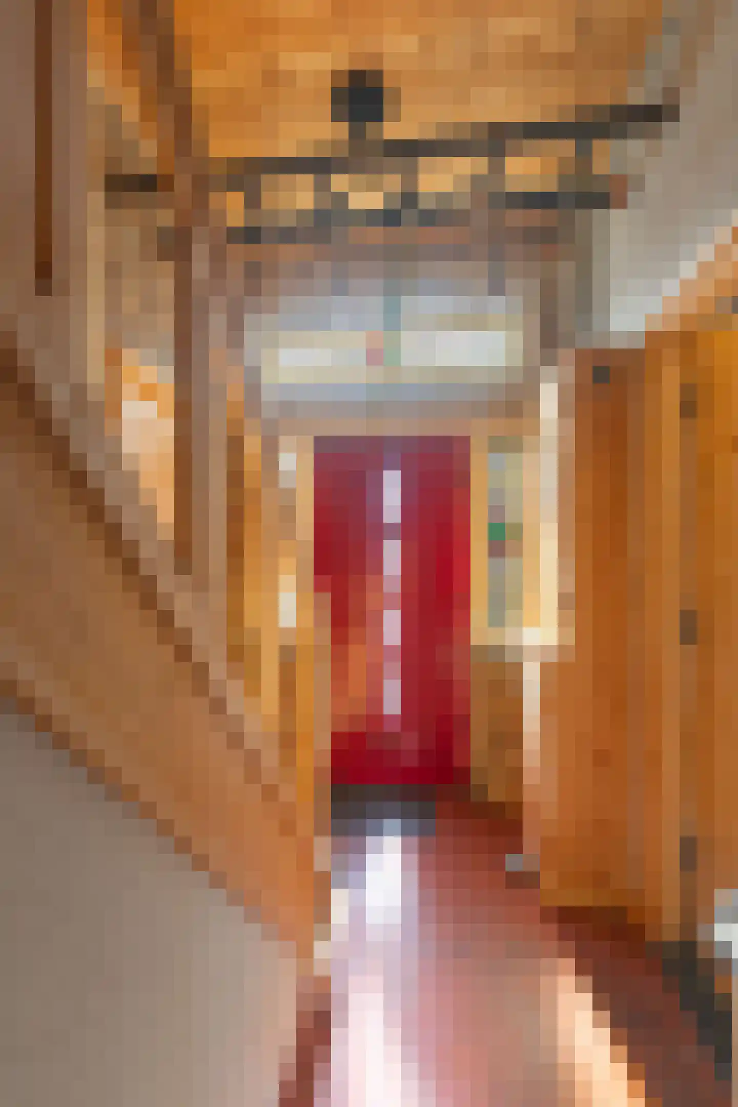 Havenstraat 20 Stein thumbnail 4