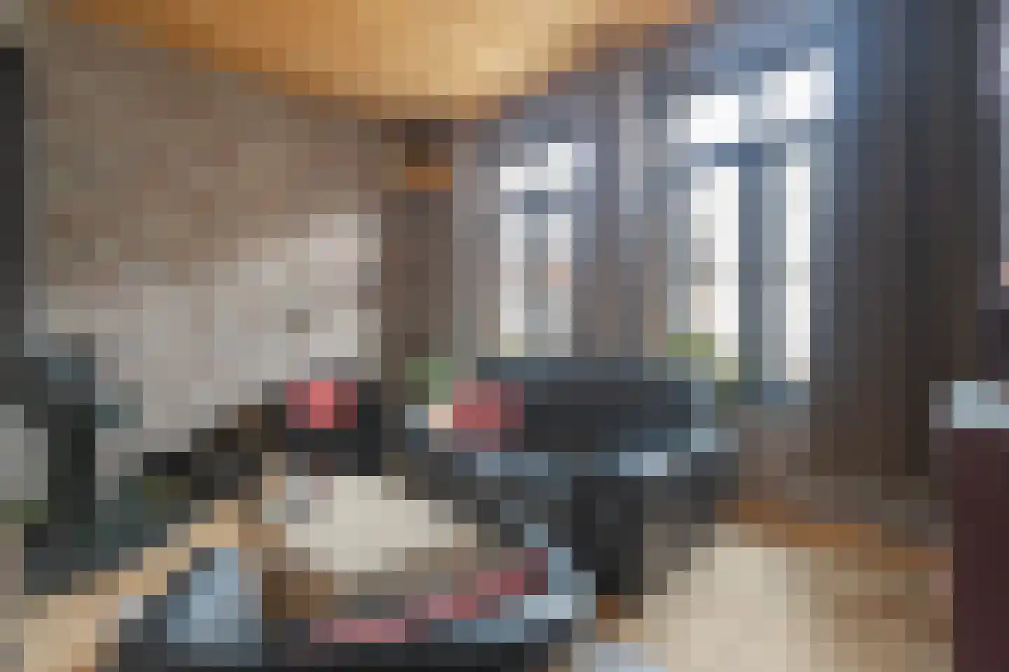 Havenstraat 20 Stein thumbnail 5