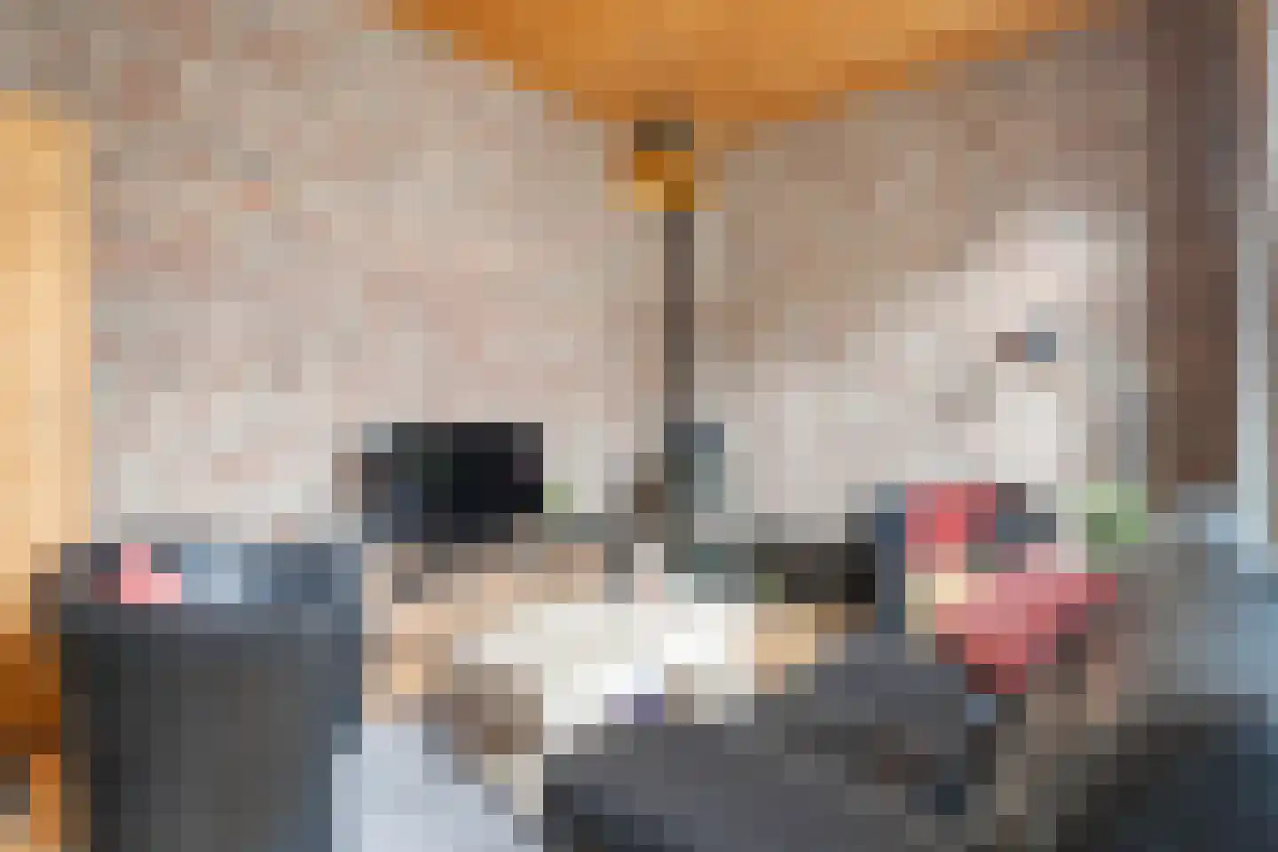 Havenstraat 20 Stein thumbnail 6