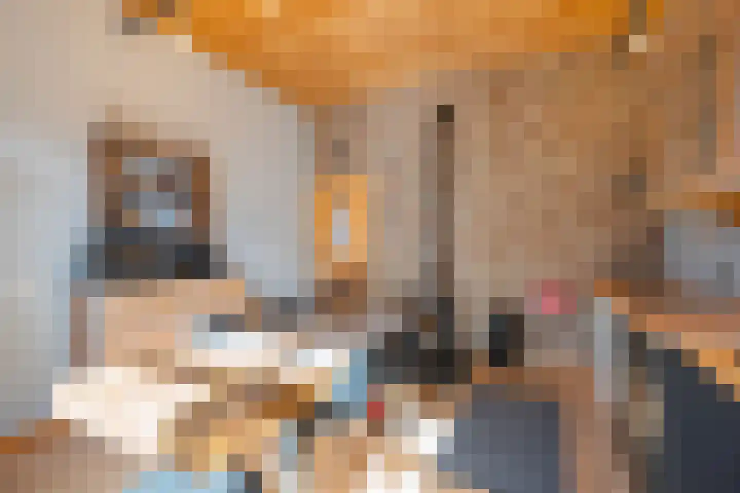 Havenstraat 20 Stein thumbnail 8