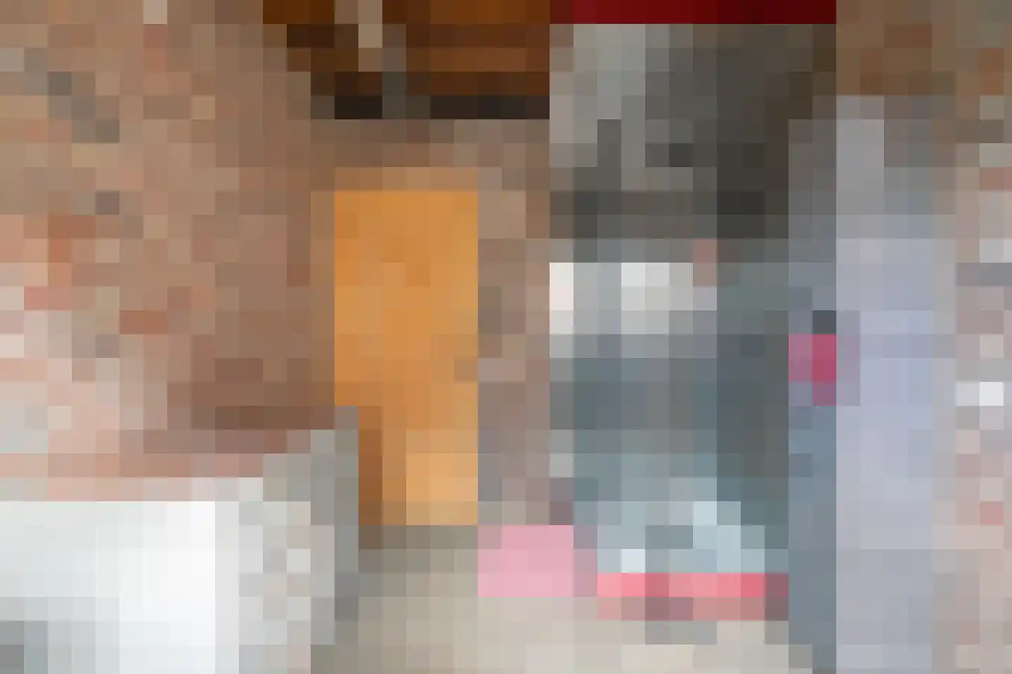 Havenstraat 20 Stein thumbnail 9