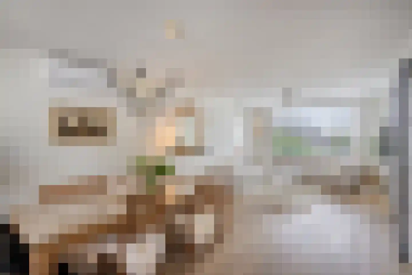 Havenstraat 21 a Stein thumbnail 22
