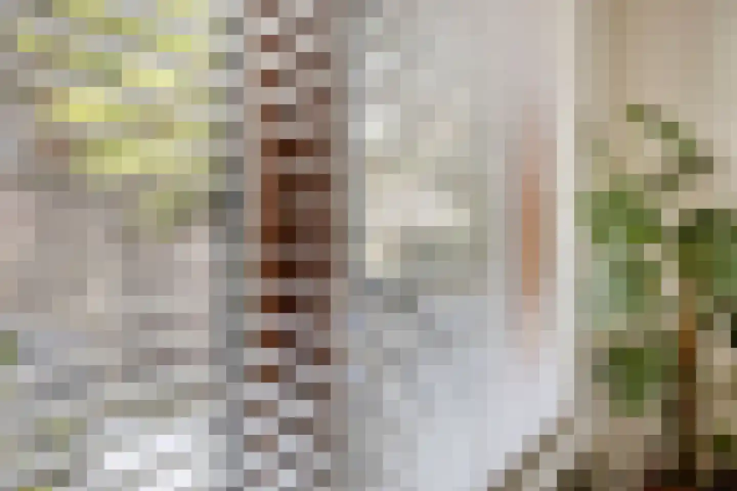 Havenstraat 21 a Stein thumbnail 25