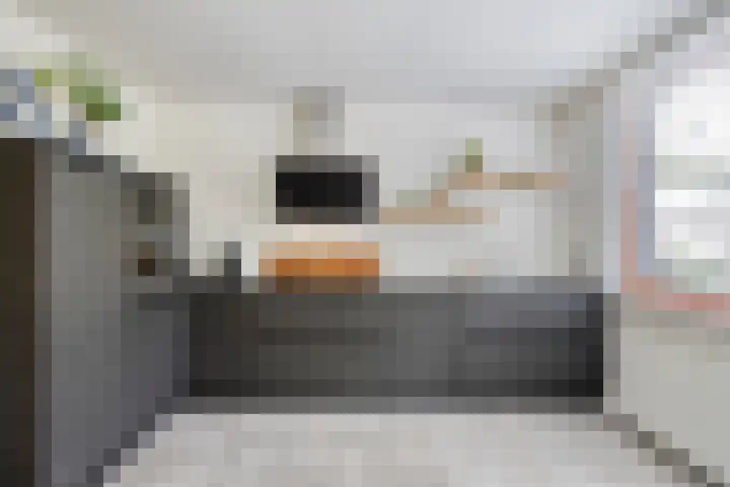 Havenstraat 21 a Stein thumbnail 27