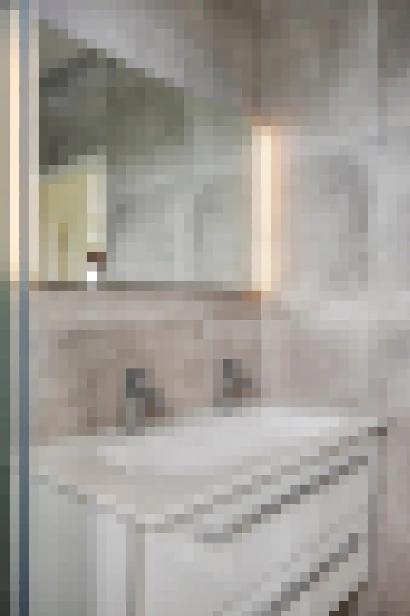 Havenstraat 21 a Stein thumbnail 34