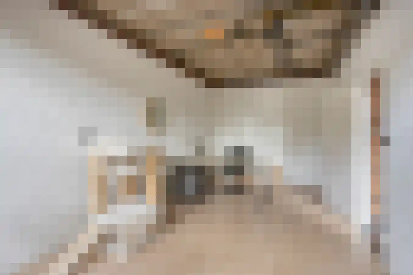 Havenstraat 21 a Stein thumbnail 51