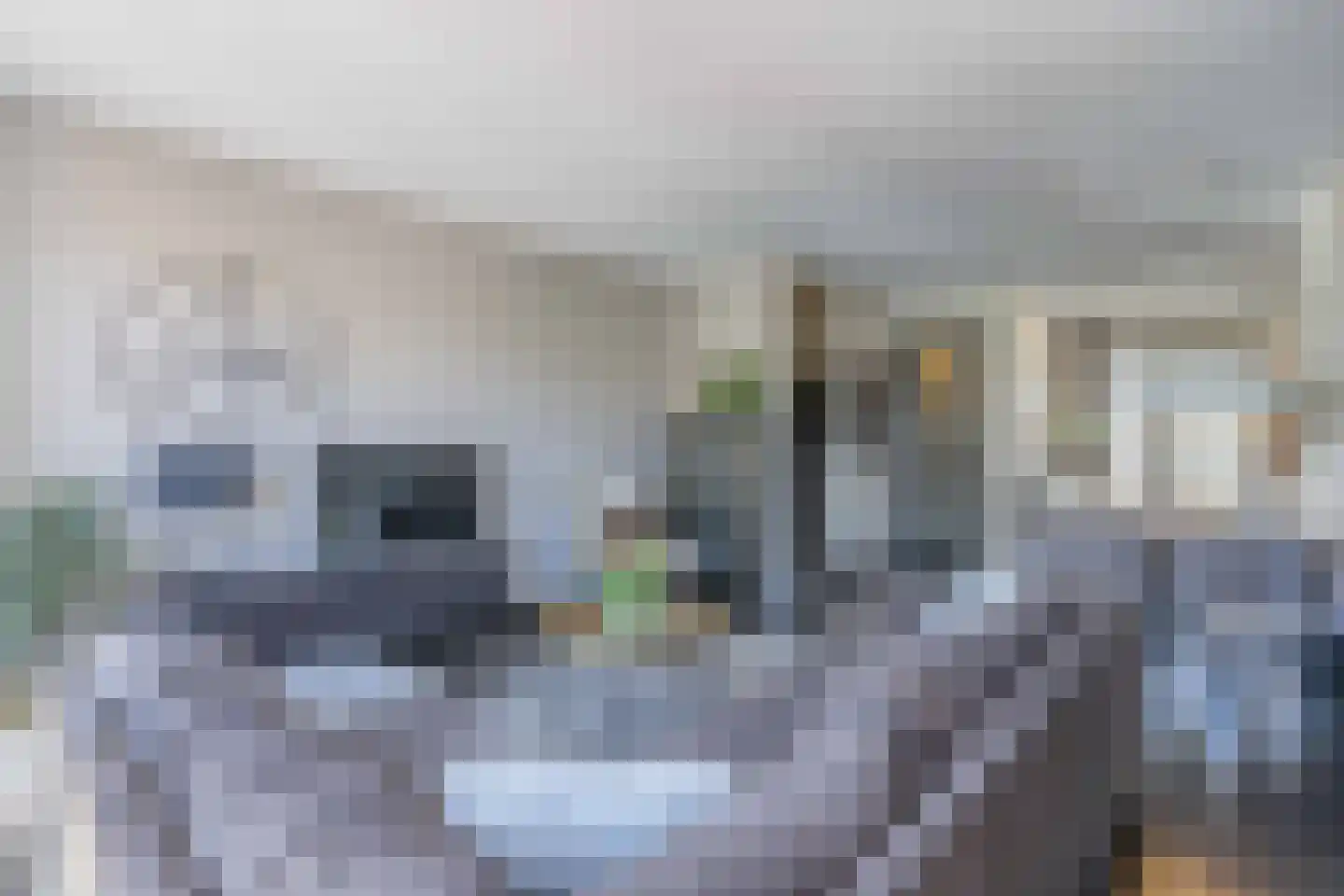 Havenstraat 21 Katwijk thumbnail 26
