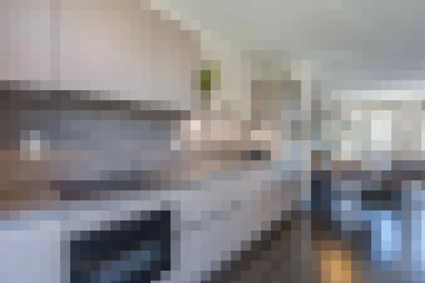 Havenstraat 21 Katwijk thumbnail 32