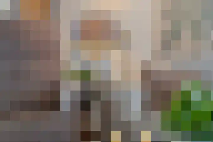 Havenstraat 21 Meppel thumbnail 12