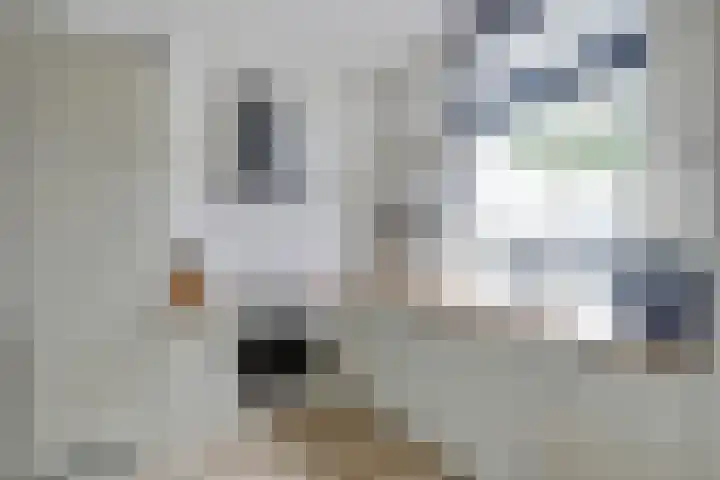 Havenstraat 21 Sliedrecht thumbnail 9