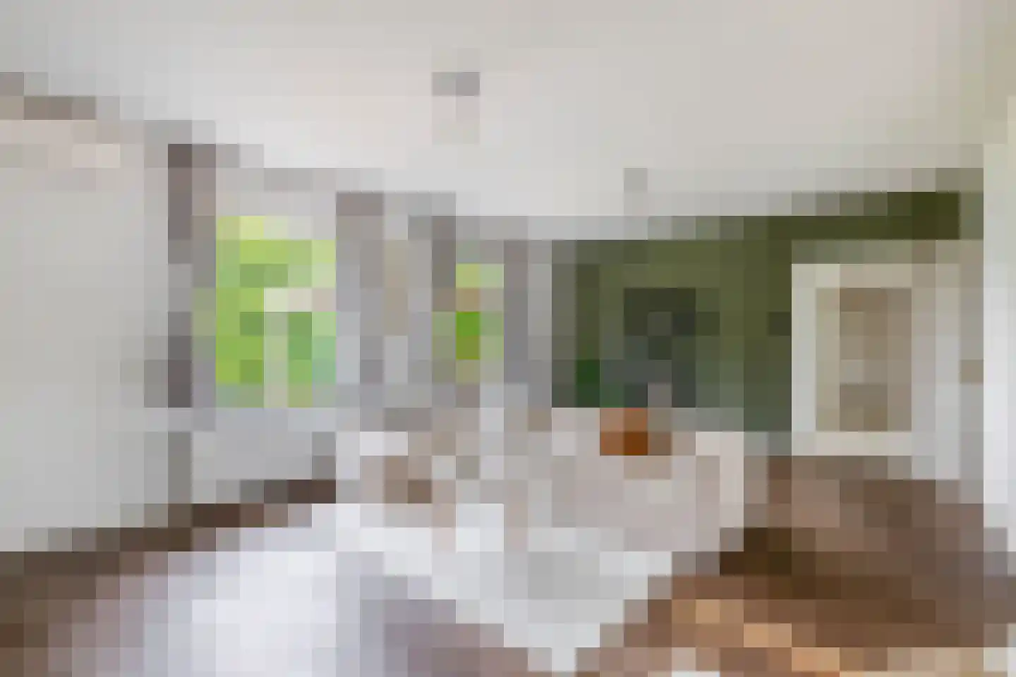 Havenstraat 21 Stein thumbnail 10