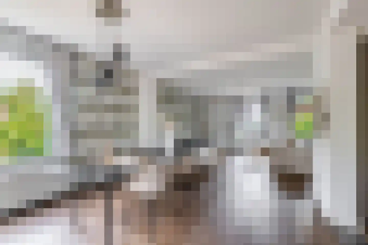 Havenstraat 21 Stein thumbnail 11