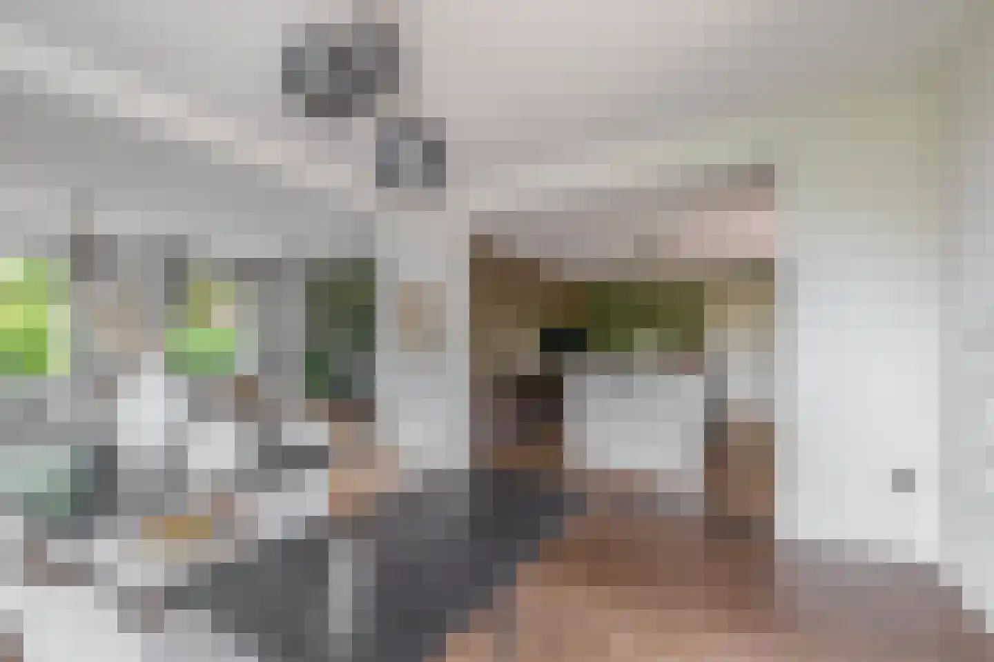 Havenstraat 21 Stein thumbnail 12