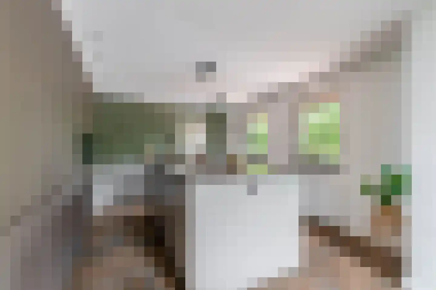 Havenstraat 21 Stein thumbnail 13