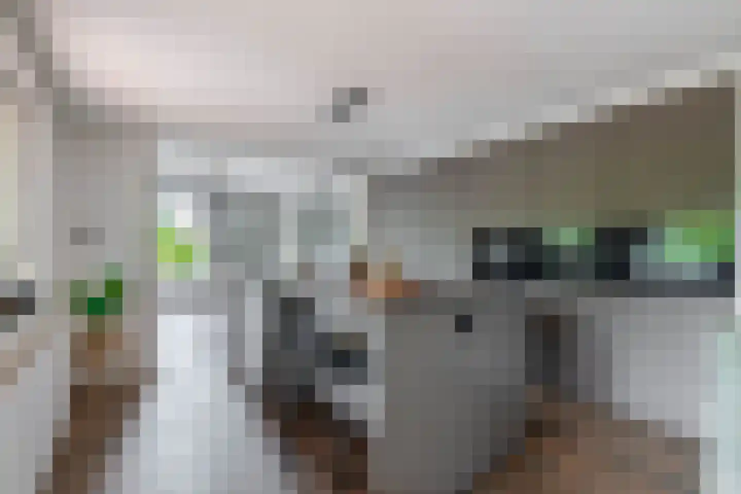 Havenstraat 21 Stein thumbnail 14