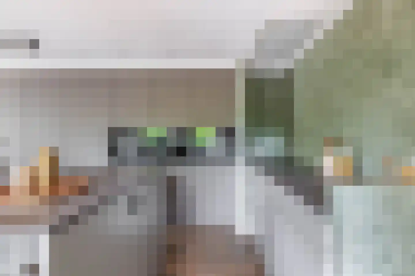 Havenstraat 21 Stein thumbnail 15