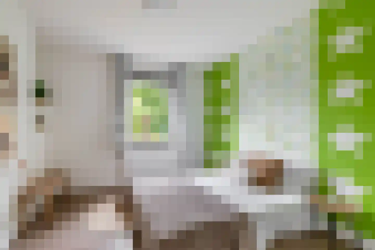 Havenstraat 21 Stein thumbnail 17