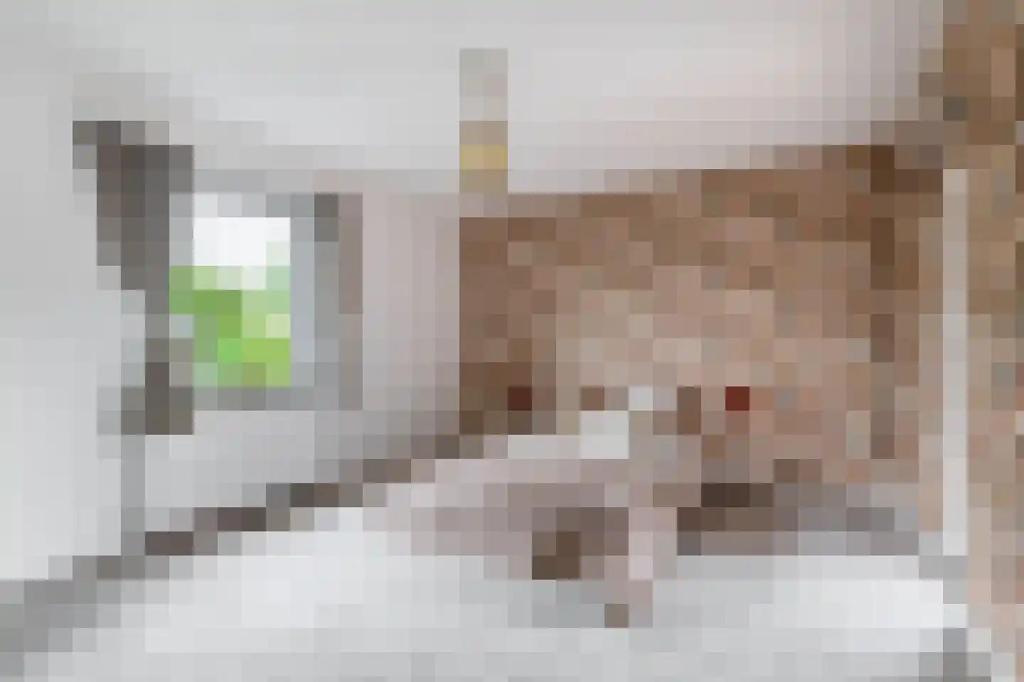 Havenstraat 21 Stein thumbnail 19
